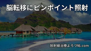 脳転移に対する定位放射線治療（SRS・SRT）完全まとめ  ― 至適線量・副作用・術後照射
