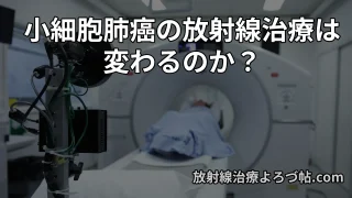 小細胞肺癌に対する放射線治療の最新動向  ― 1日2回照射から1日1回照射へ？将来の標準