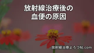 放射線性直腸炎とは？血便の原因とAPC治療を専門医が解説