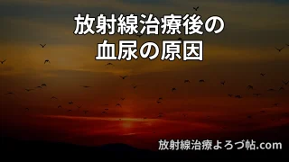 放射線性膀胱炎とは？血尿の原因・症状・治療（高圧酸素療法）を専門医が解説